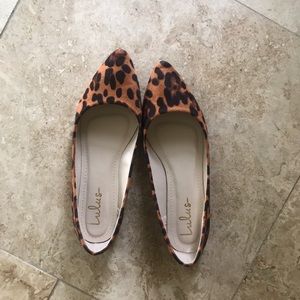 Lulu’s Leopard Print, Pointed Toe Ballet Flats
